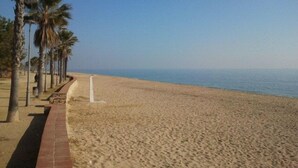 Ein Strand mit einem Weg, der von Palmen gesäumt wird, und freiem Blick auf das Meer.