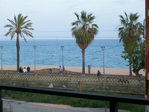 Vista desde la propiedad