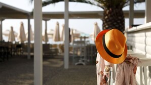 A hat on a railing with a palm tree and umbrellas in the background.