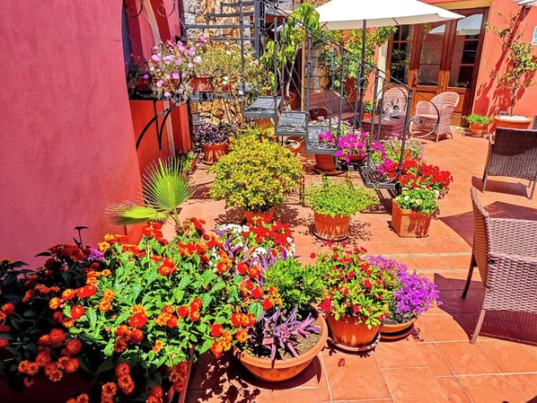 Terrasse/Patio