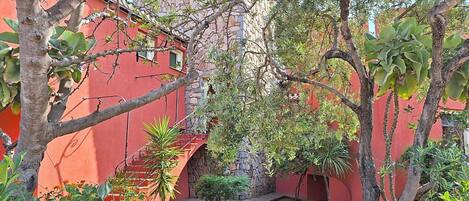 A courtyard with a red building, a stone wall, and various plants.