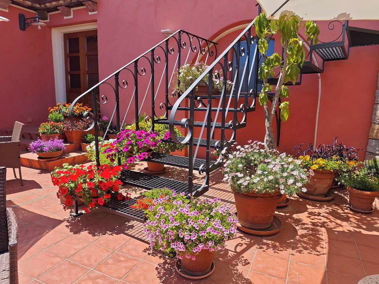 A staircase with metal railings surrounded by potted plants and flowers.