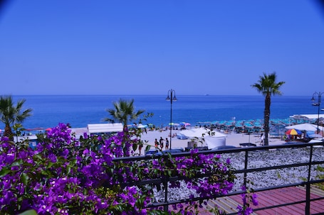 Vista desde la propiedad