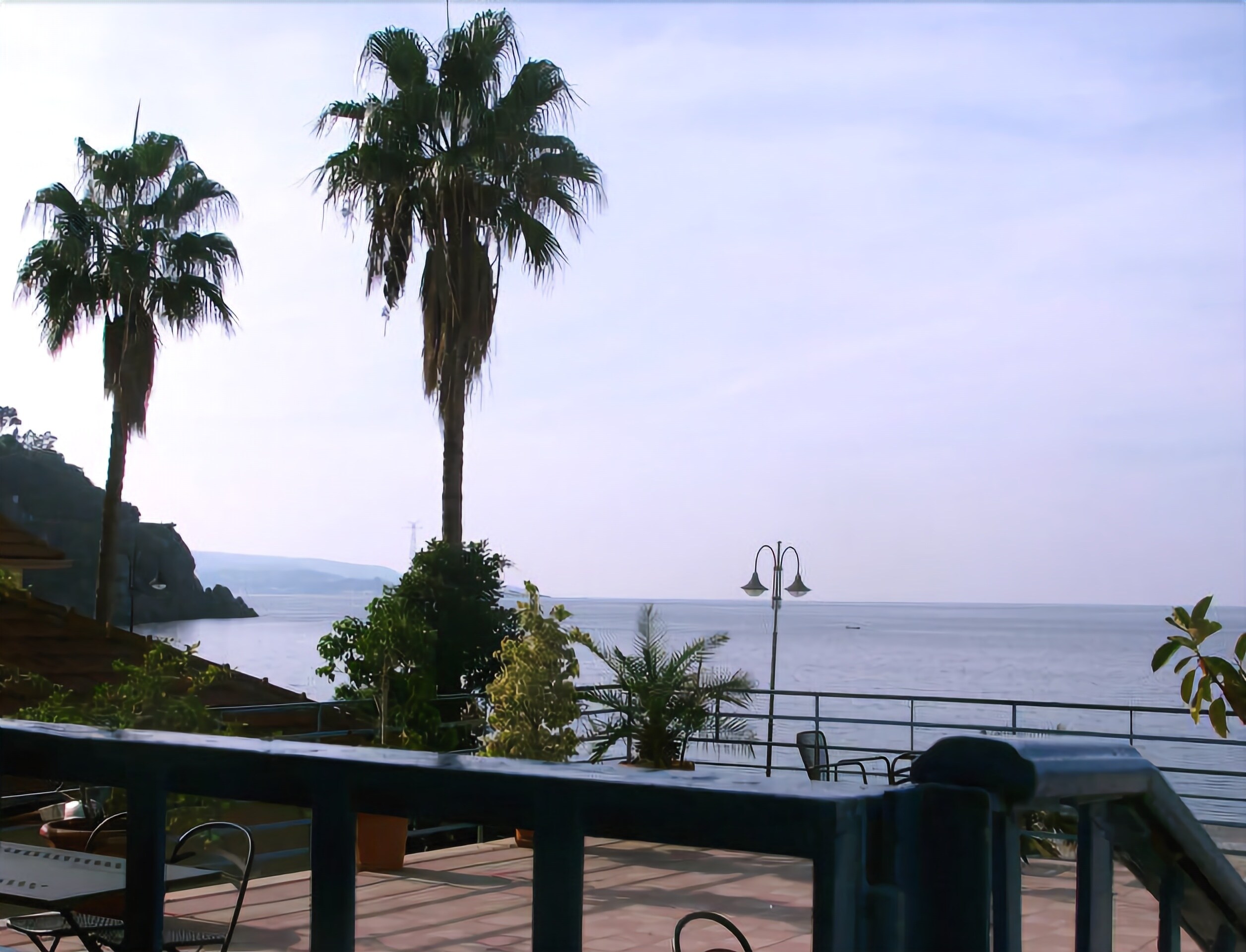 Una terraza con vista al mar, palmeras y mobiliario exterior.