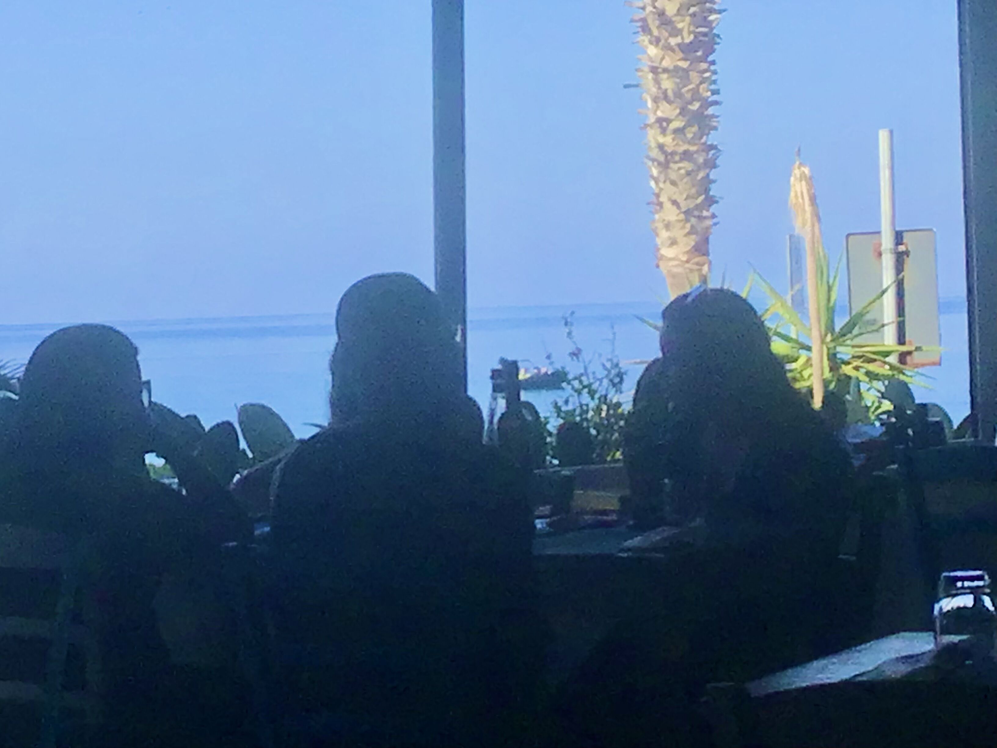 A restaurant with tables and chairs, a palm tree, and a view of the sea.