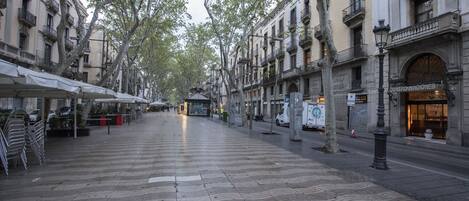A tree-lined street with buildings on either side, including a hotel with a sign reading "Hotel Cuatro Naciones."