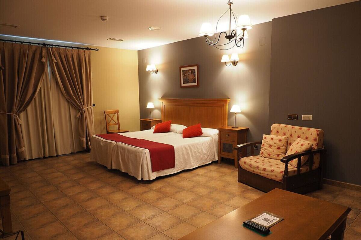 Una habitación de hotel con una cama, una silla, una mesa y una araña.