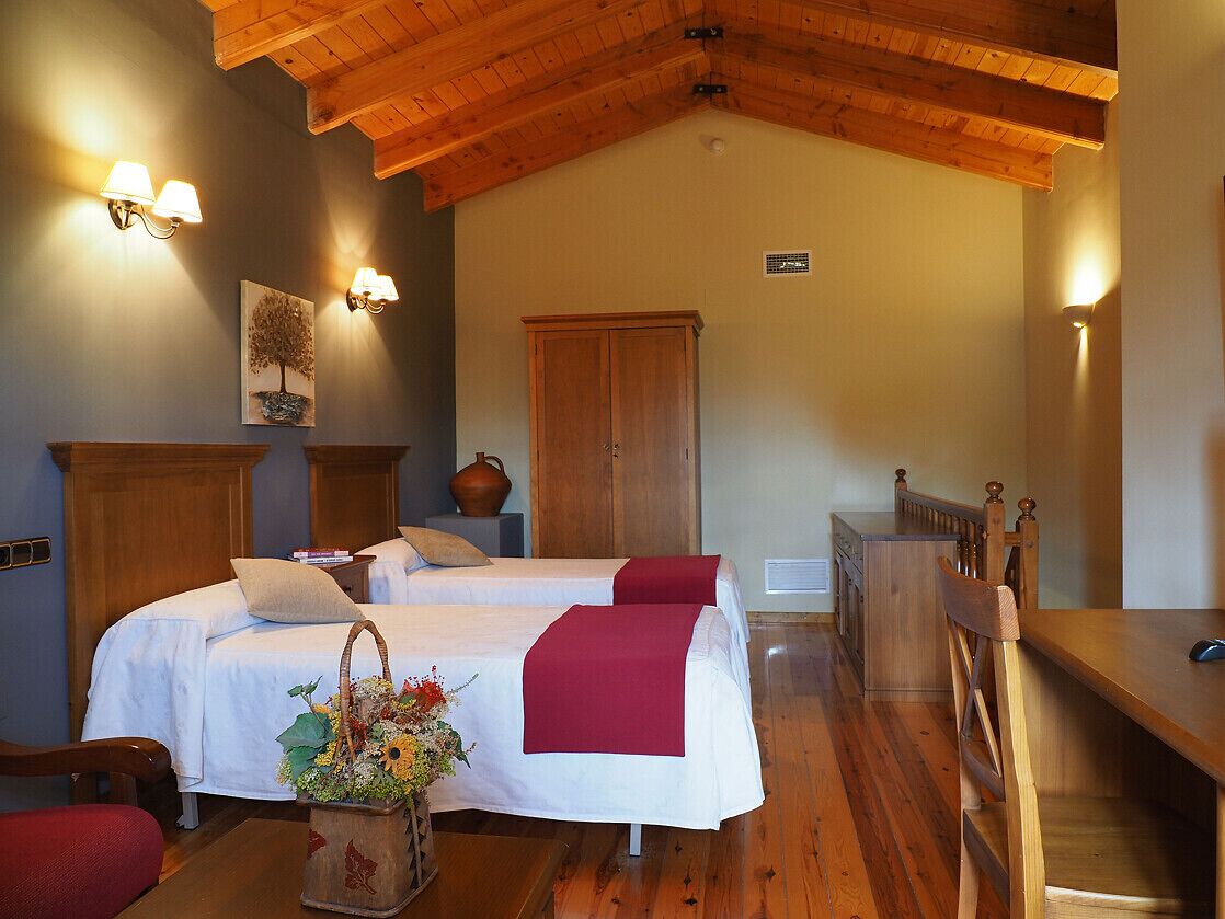 Family Suite (4 adults) | View from room