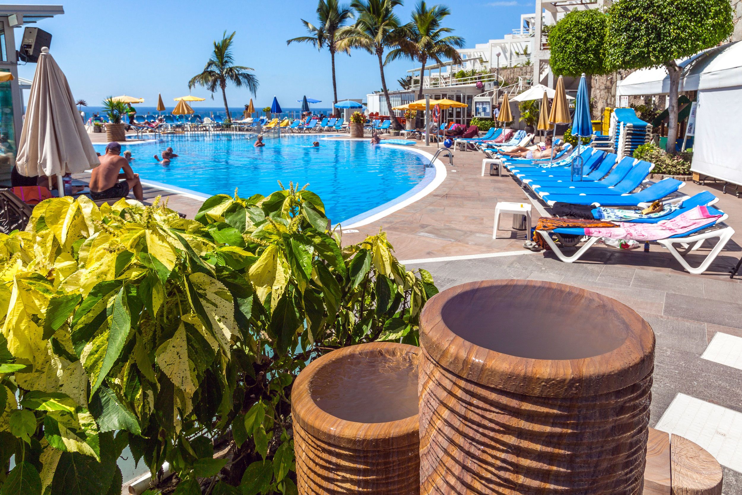 A pool area with lounge chairs and umbrellas, surrounded by palm trees and a clear sky.