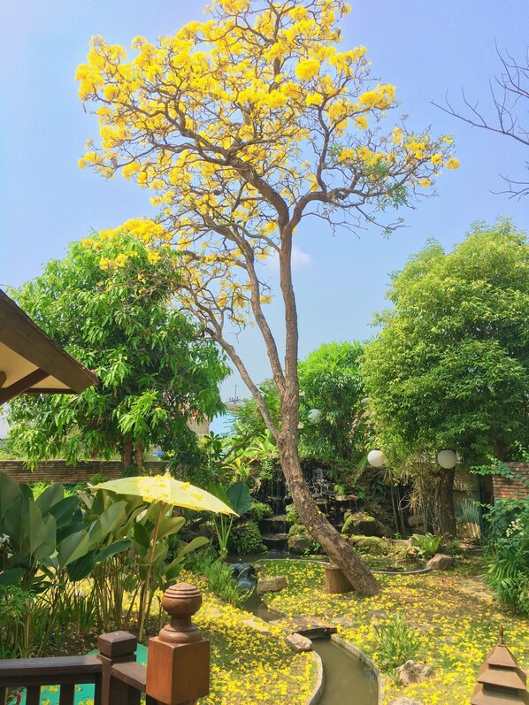 Fuangfha Premier Villa | มินิบาร์, ตู้นิรภัยในห้องพัก, โต๊ะทำงาน, ผ้าม่านกันแสง