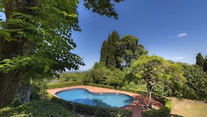 Una piscina rodeada de exuberante vegetación y un sendero de piedra.