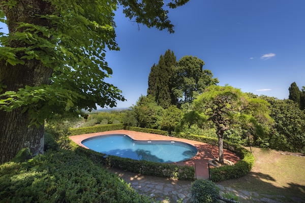 Seasonal outdoor pool, open 9:00 AM to 7:00 PM, pool umbrellas