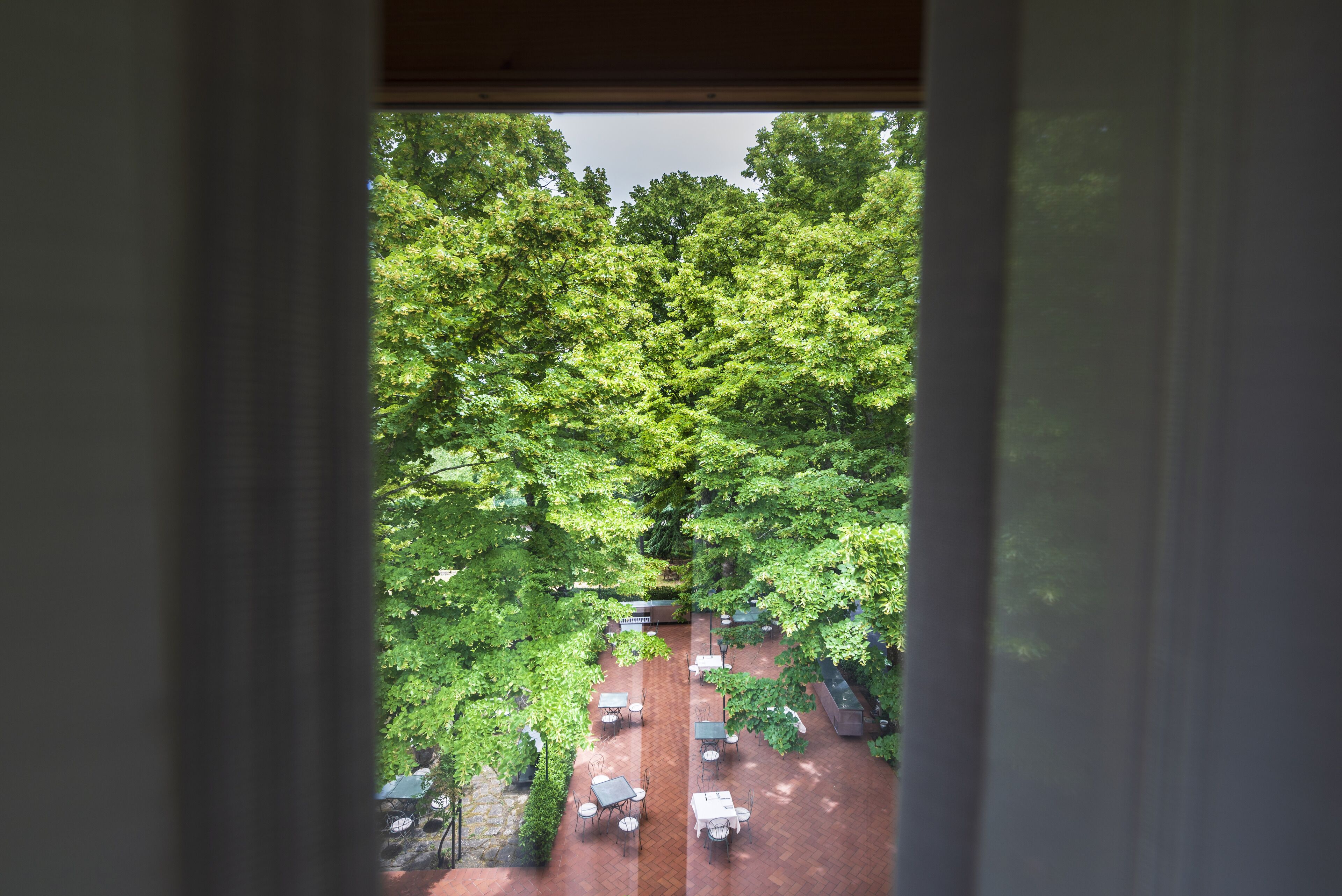 suite | view from room