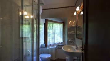 Un bagno con il water, un lavandino e una cabina doccia in vetro.