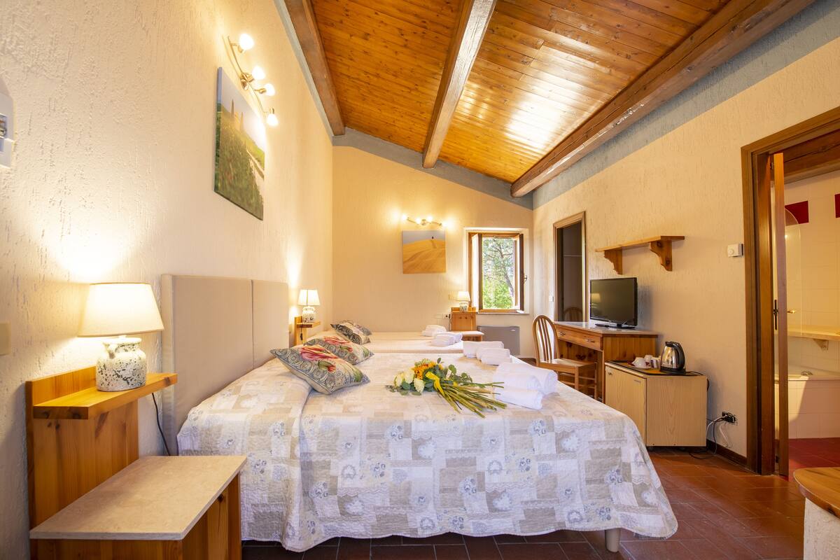 Un dormitorio con cama, mesitas de noche, televisor y ventana.