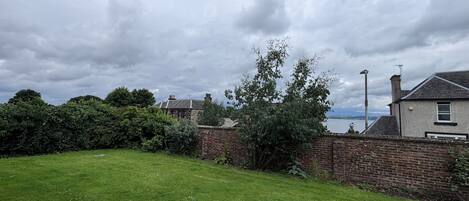 A grassy backyard with a brick wall, a tree, and a house in the background.