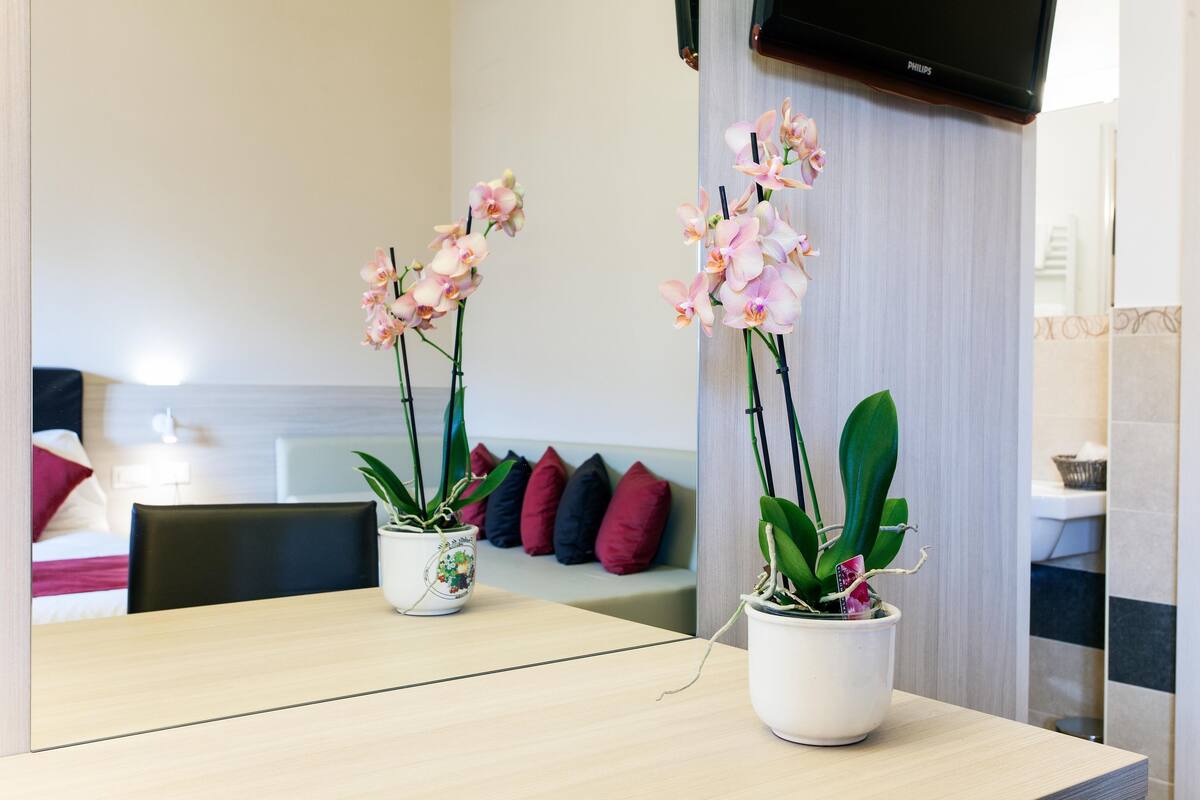 Habitación de hotel con una mesa de madera, dos orquídeas en macetas, un sofá con cojines de colores y un televisor en la pared.