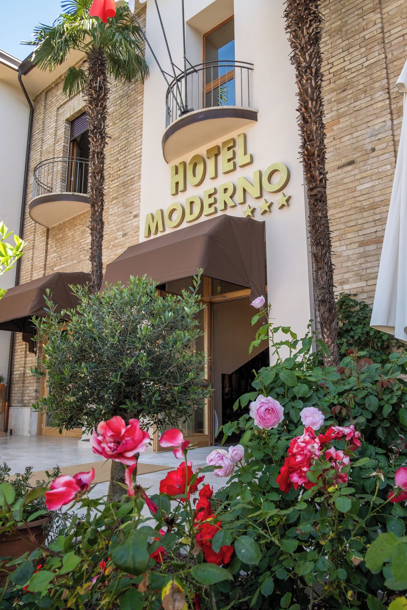 A hotel named "HOTEL MODERNO" with a sign in large letters. There are balconies with railings, a palm tree, and a variety of flowers in the foreground.