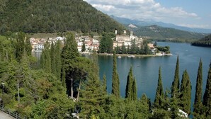 A lakeside town with a prominent castle on a hill, surrounded by dense forests and a clear sky.