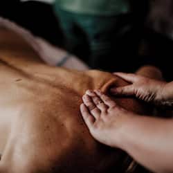 Body treatments, body wraps, body scrubs, facials