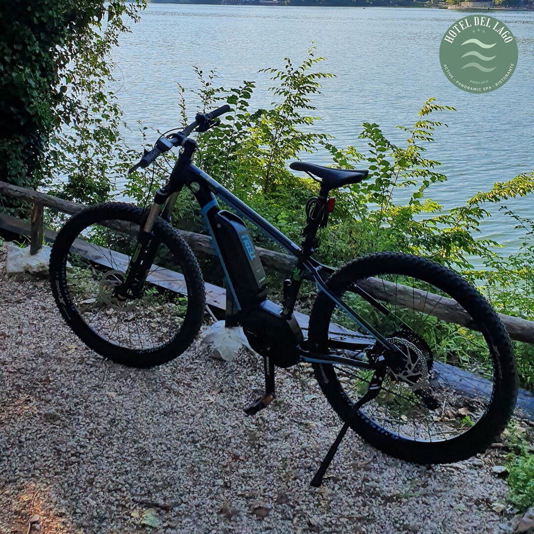 Una mountain bike appoggiata lungo un sentiero vicino al lago.