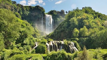 Üppige, grüne Landschaft mit einem großen Wasserfall, der von einem Felsen herabstürzt, umgeben von dichtem Grün.