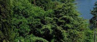 Hotel Del Lago 1934 & SPA