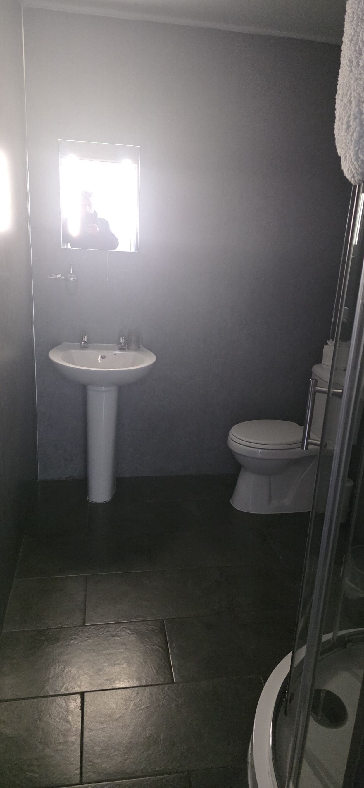 A bathroom with a sink, toilet, and a glass shower enclosure.