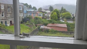 A view through a window with a white frame, overlooking a residential area with houses and greenery.