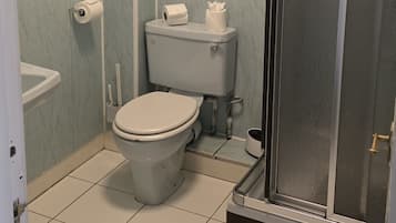A bathroom with a toilet, a sink, and a shower stall.