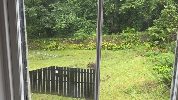 ملاءات للفراش لا تسبب الحساسية وبديكورات فريدة لكل غرفة