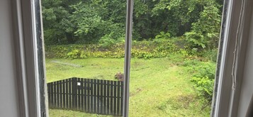 A view through a window of a grassy yard with a wooden fence and dense foliage.
