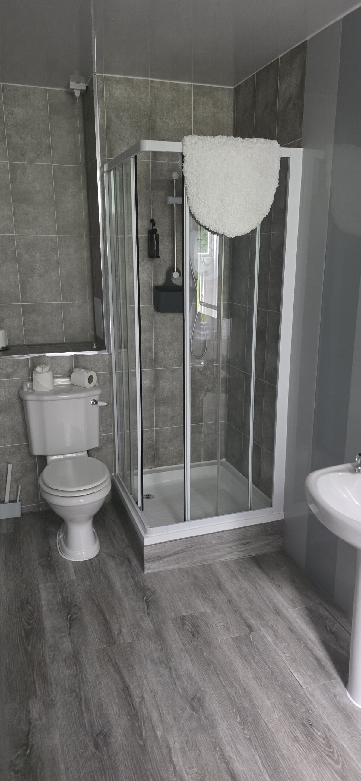 A modern bathroom with a glass-enclosed shower, a toilet, and a sink.