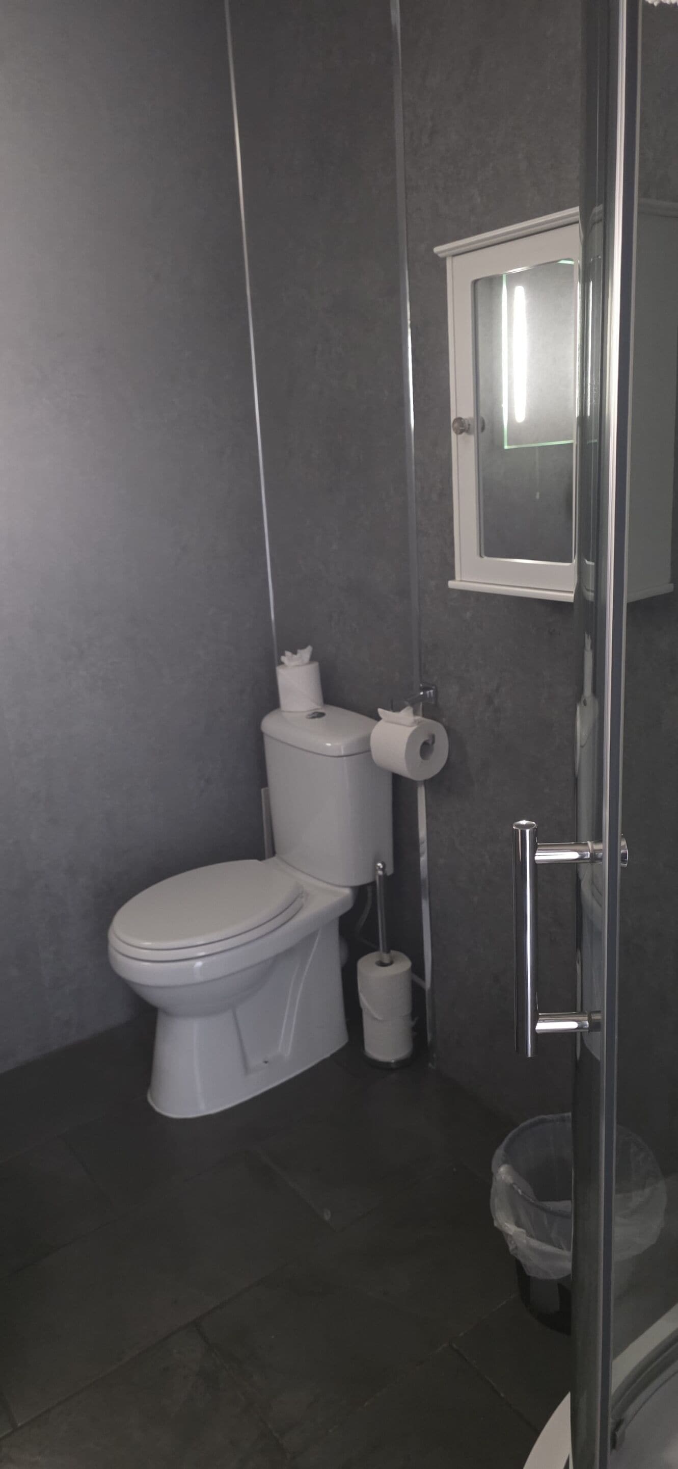 A bathroom with a toilet, a shower, and a glass-enclosed shower stall.