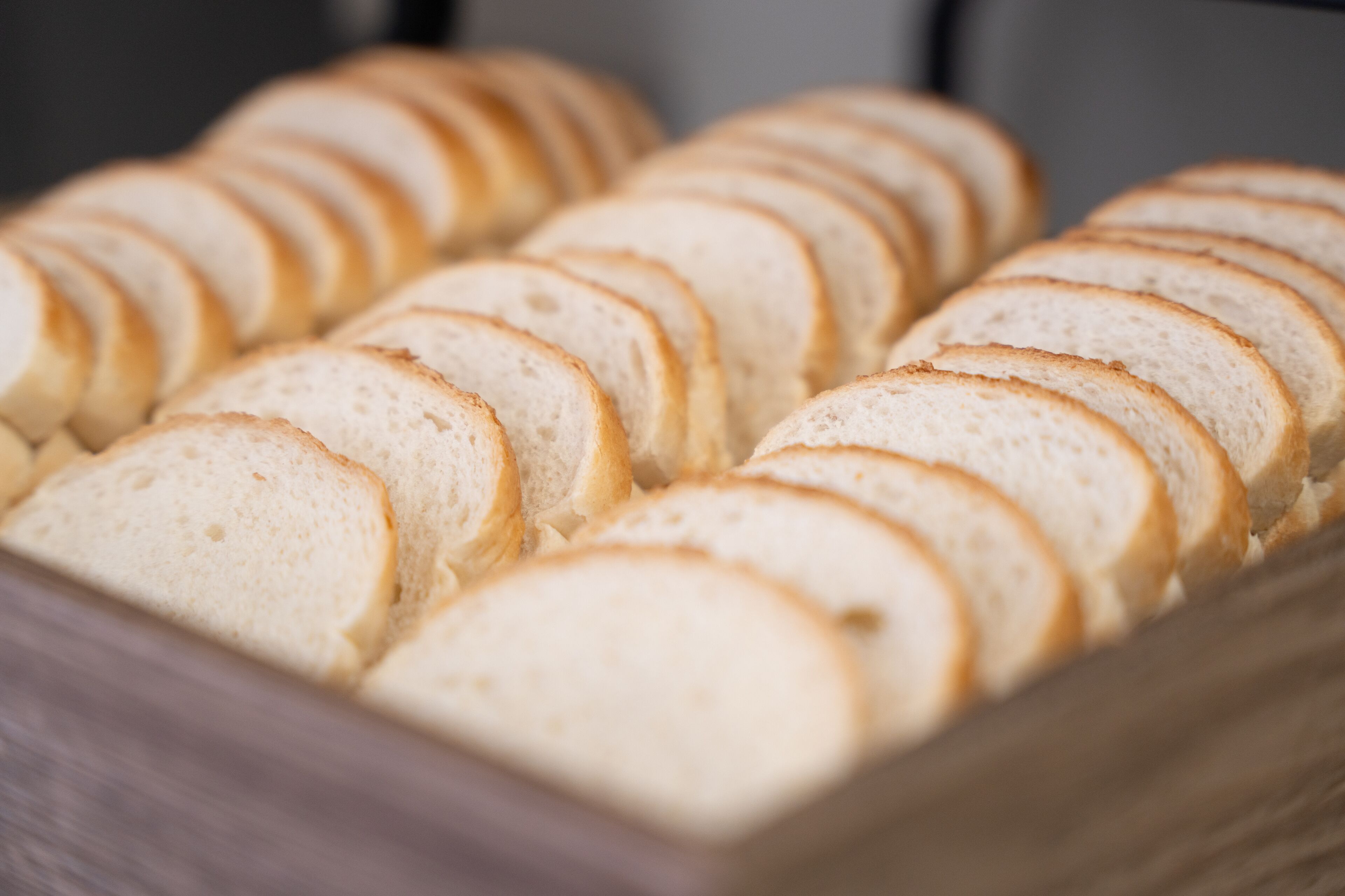 Foto - Hotel Donatello