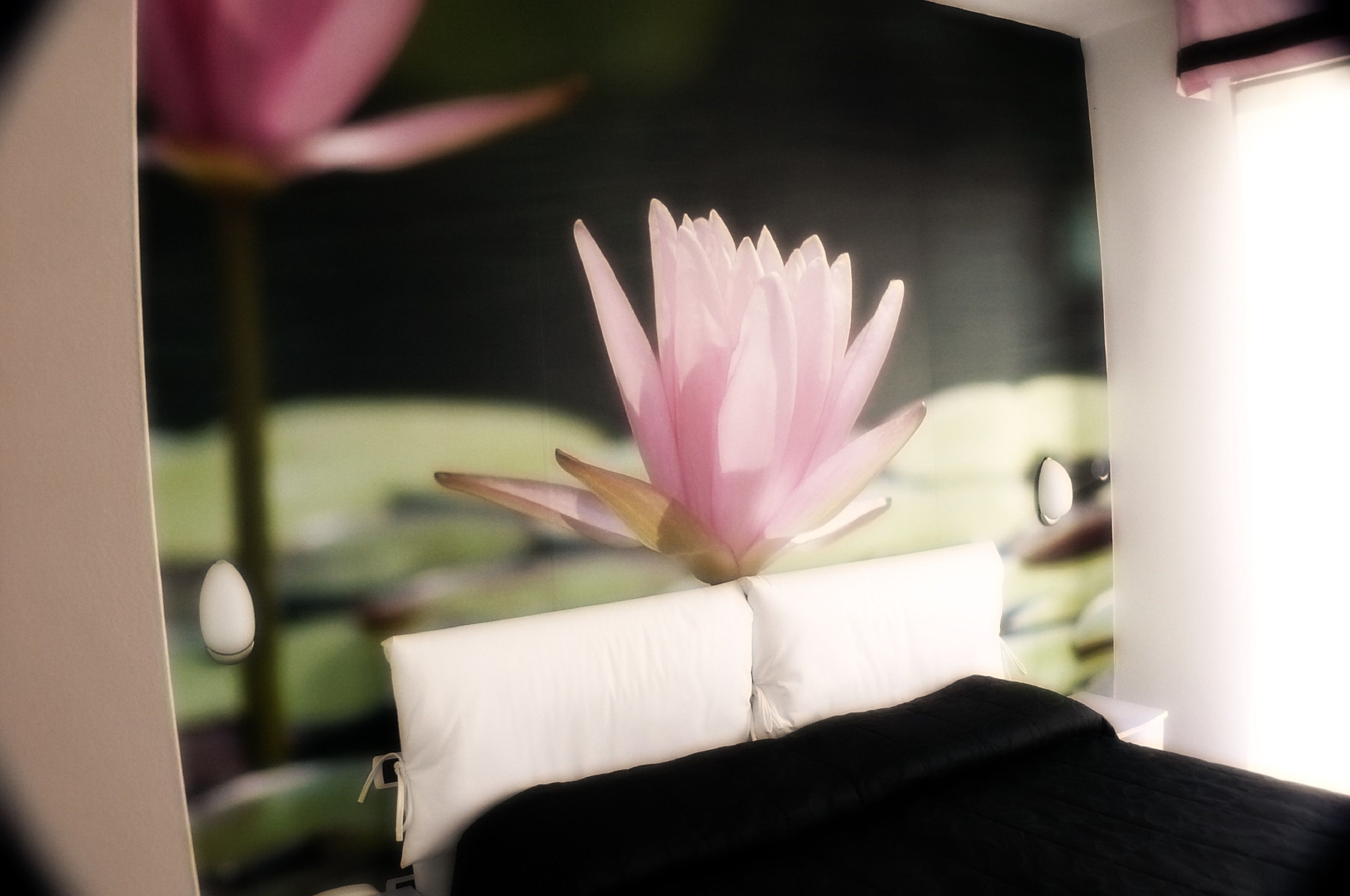 in-room safe, desk, cots/infant beds, free wifi