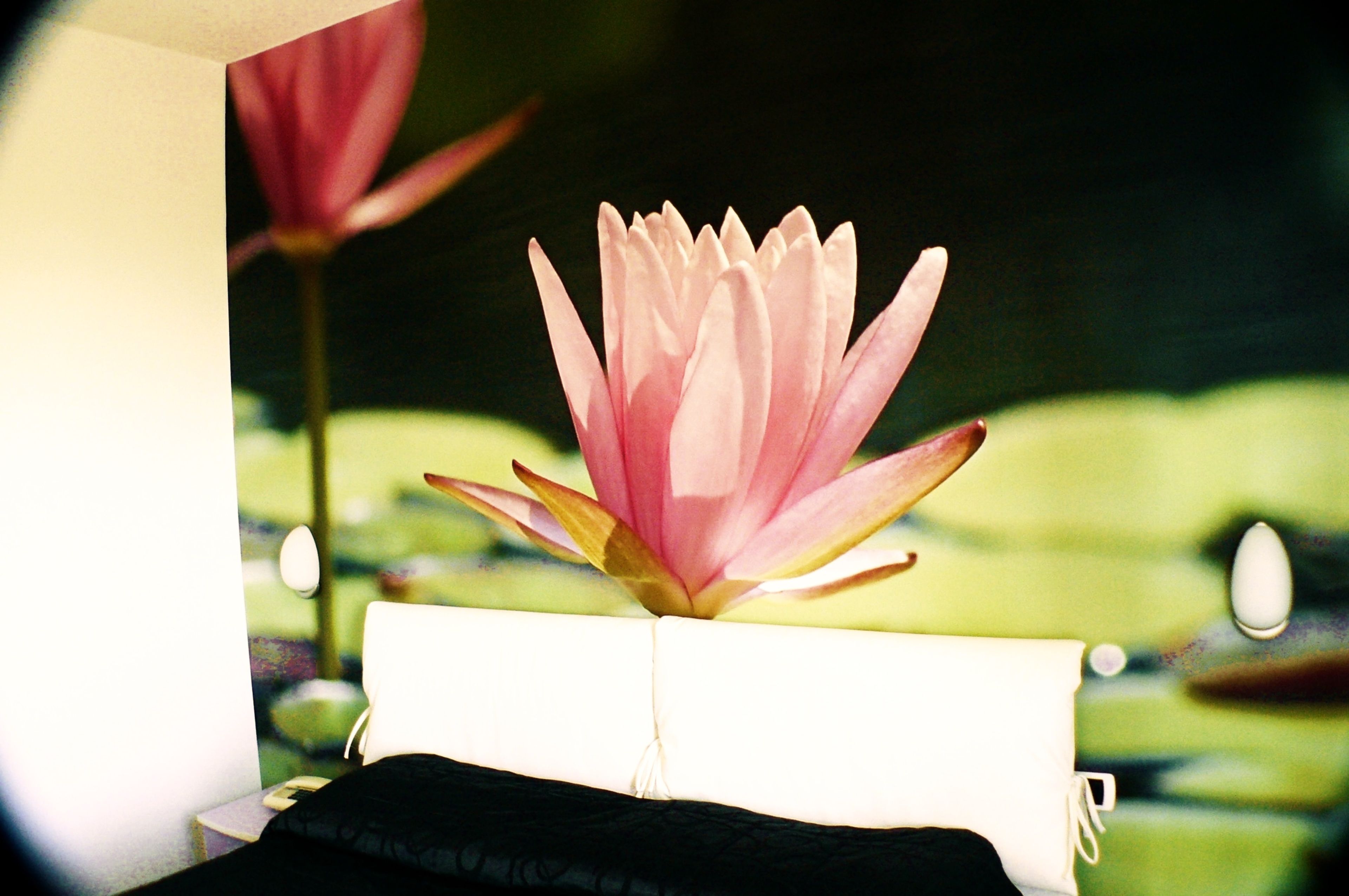 in-room safe, desk, cots/infant beds, free wifi