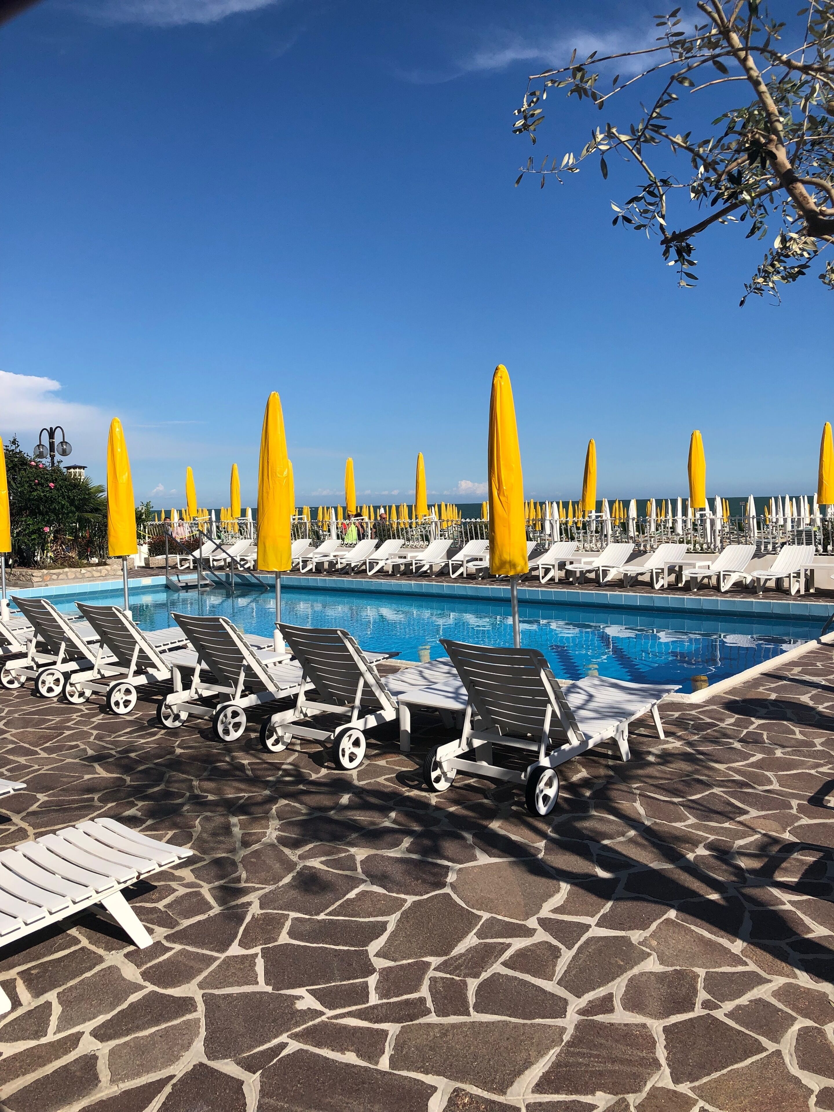 outdoor pool, pool loungers