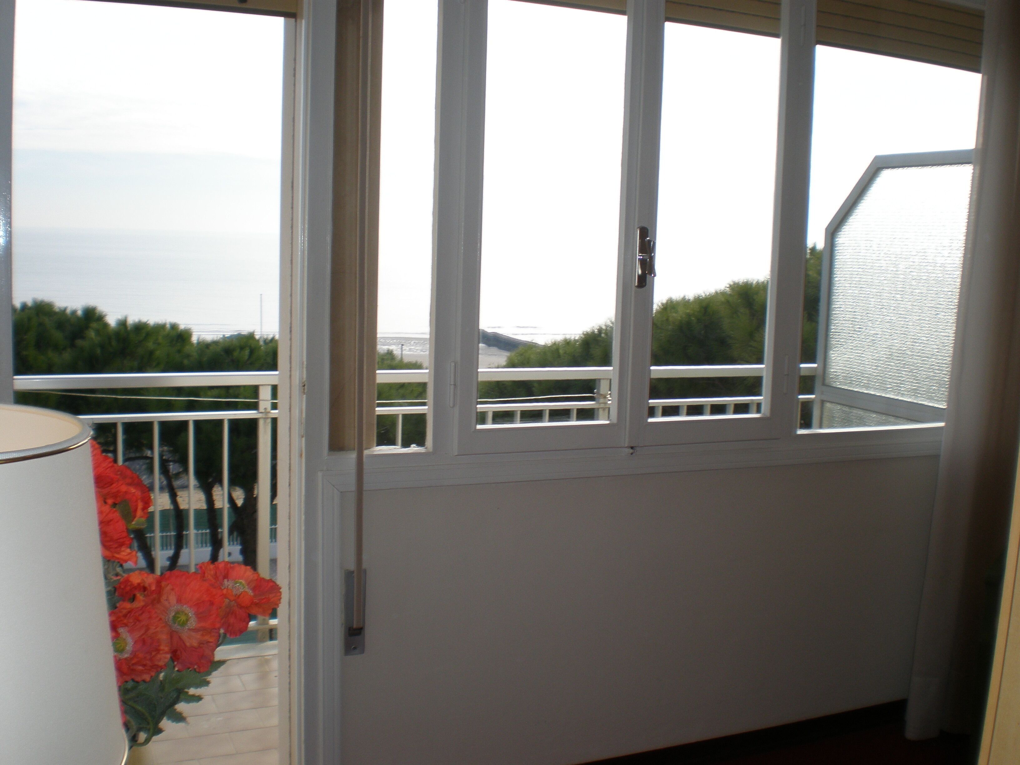 Foto - Hotel Majestic