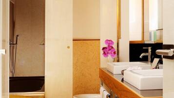 A modern bathroom with a shower, a bathtub, and a vanity with a mirror.