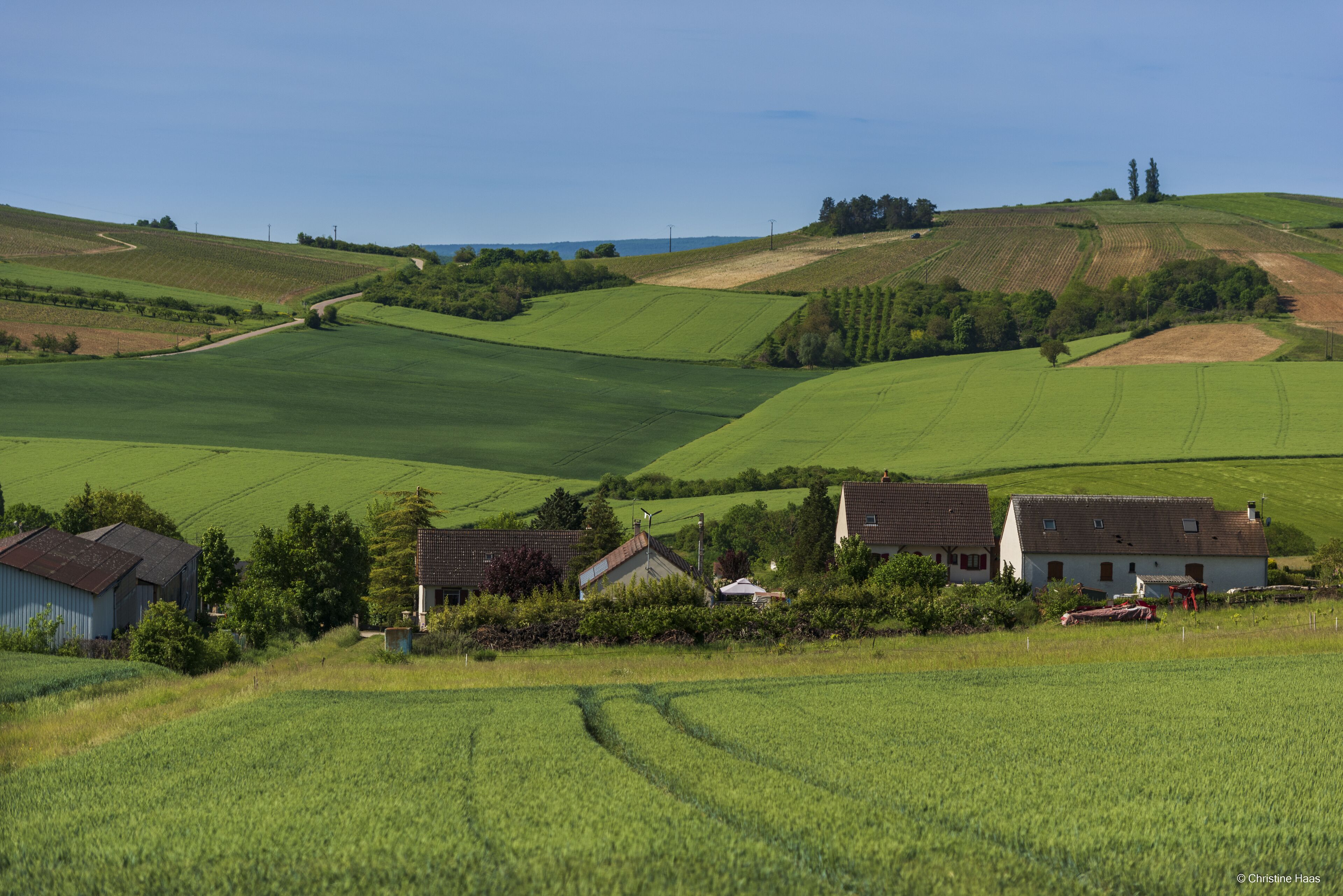 Paisaje rural con colinas onduladas, campos verdes y algunas casas.