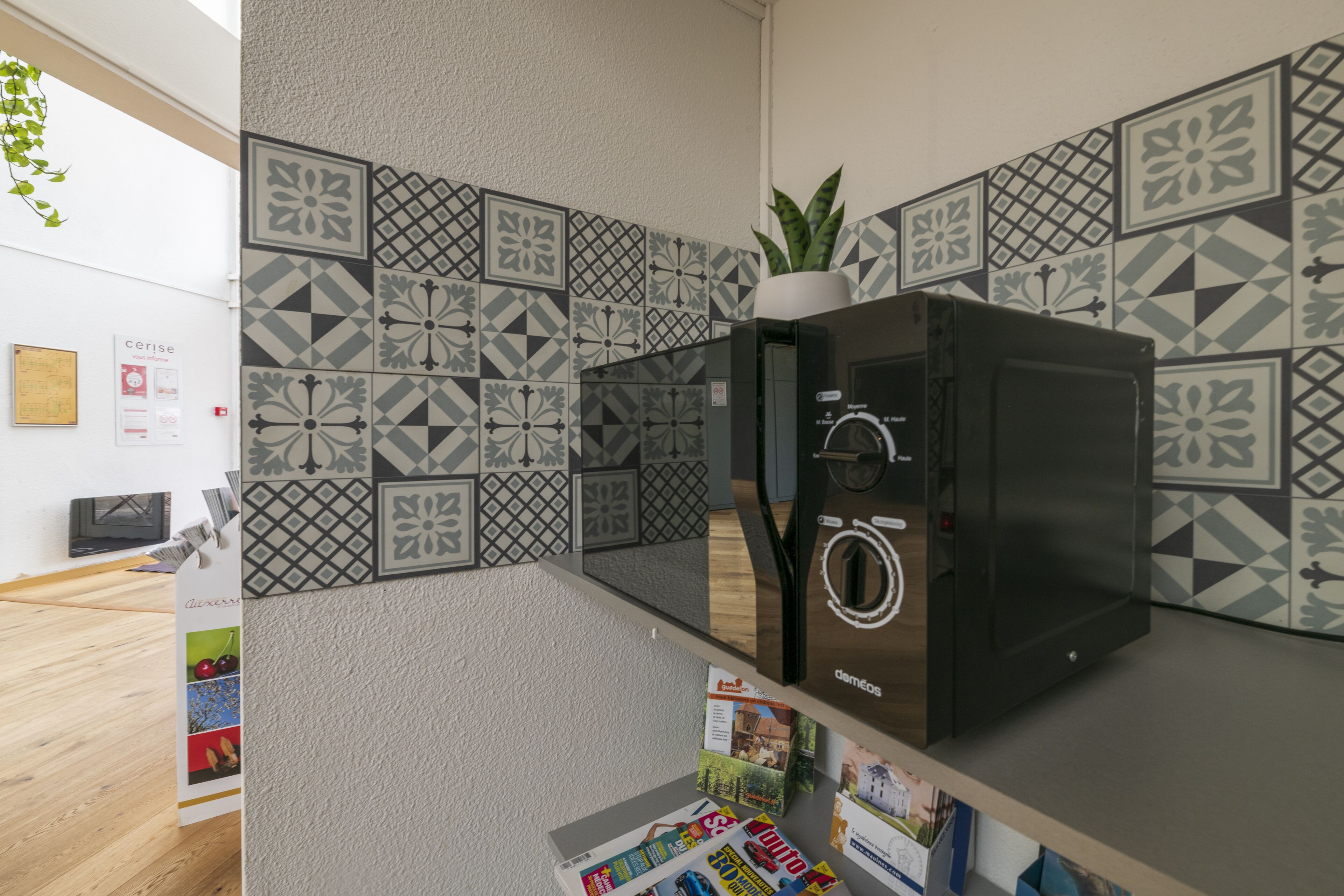 Une cuisine moderne avec des carreaux décoratifs, un réfrigérateur noir et une plante en pot.