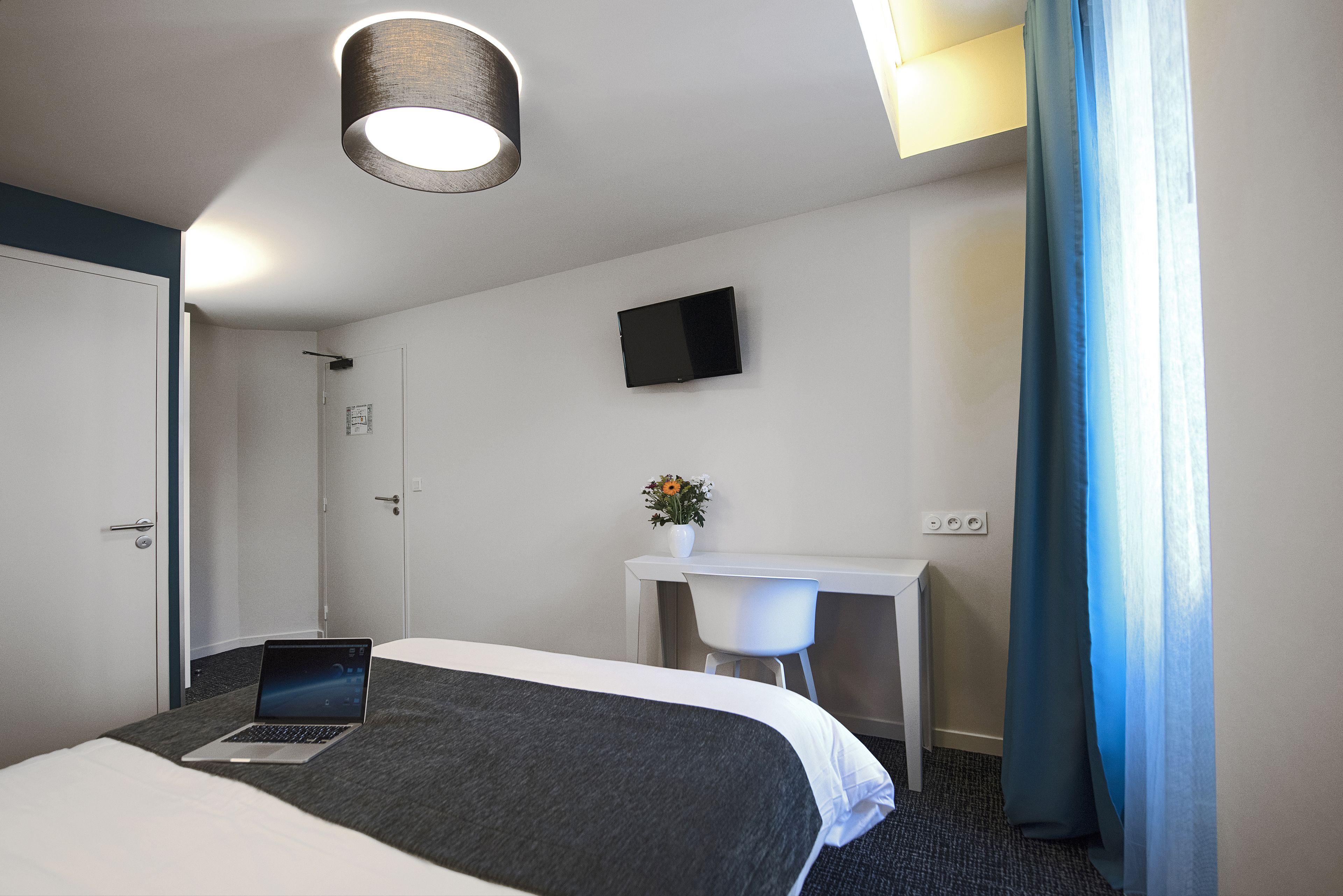 A hotel room with a bed, a desk, a laptop, a TV, and a potted plant.