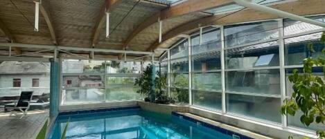 An indoor swimming pool with clear glass ceilings and wooden beams, surrounded by potted plants.