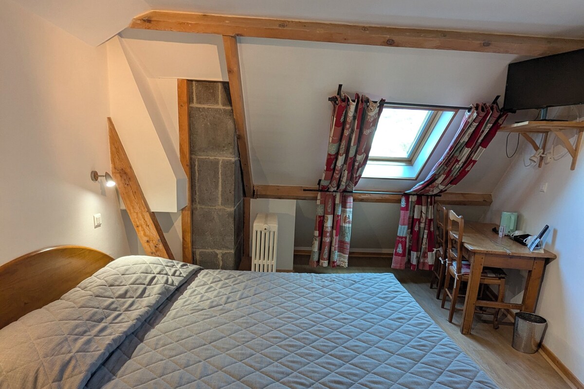 A bedroom with a bed, a desk, a chair, a TV, and a skylight.