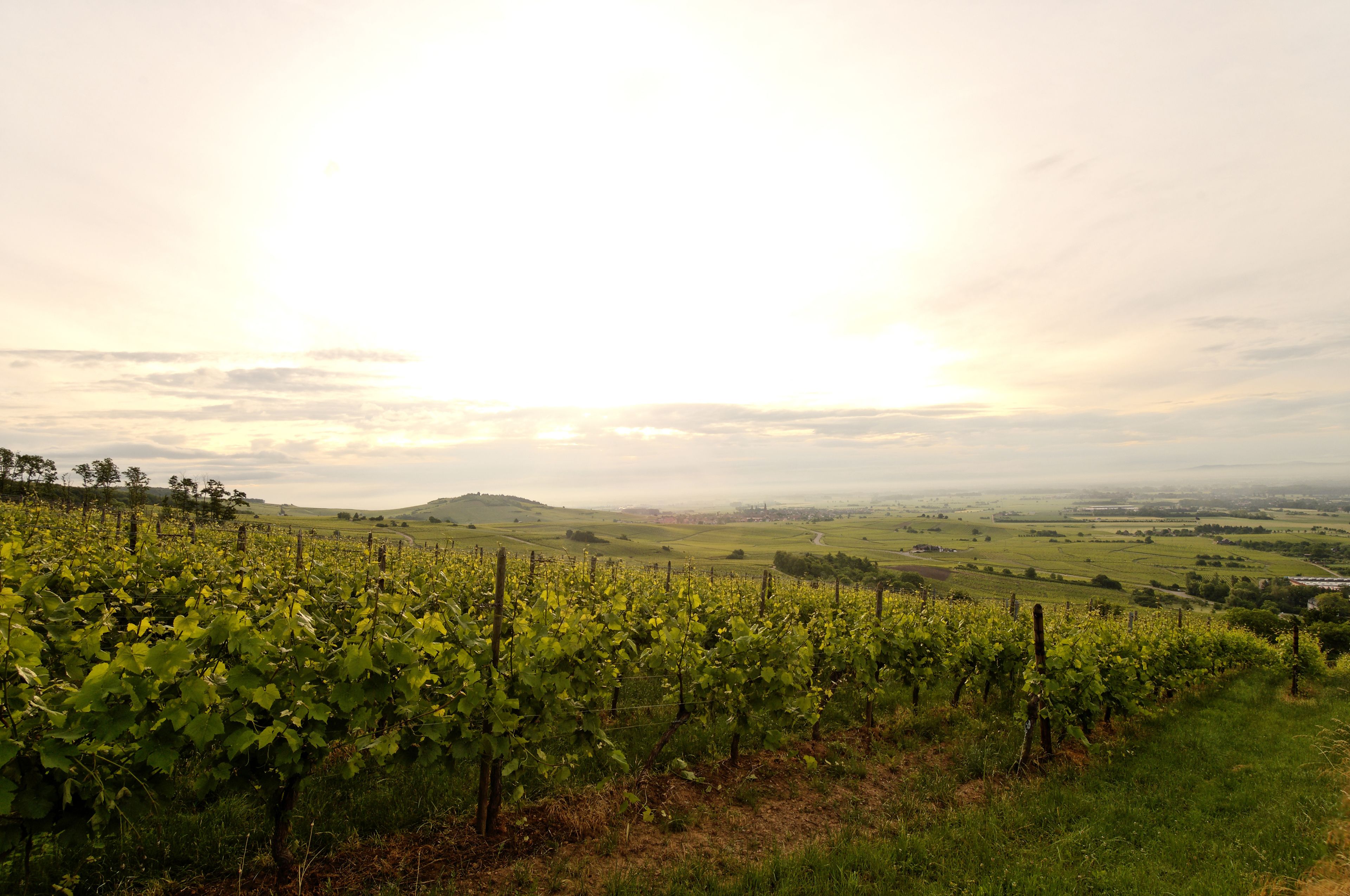 land view from property