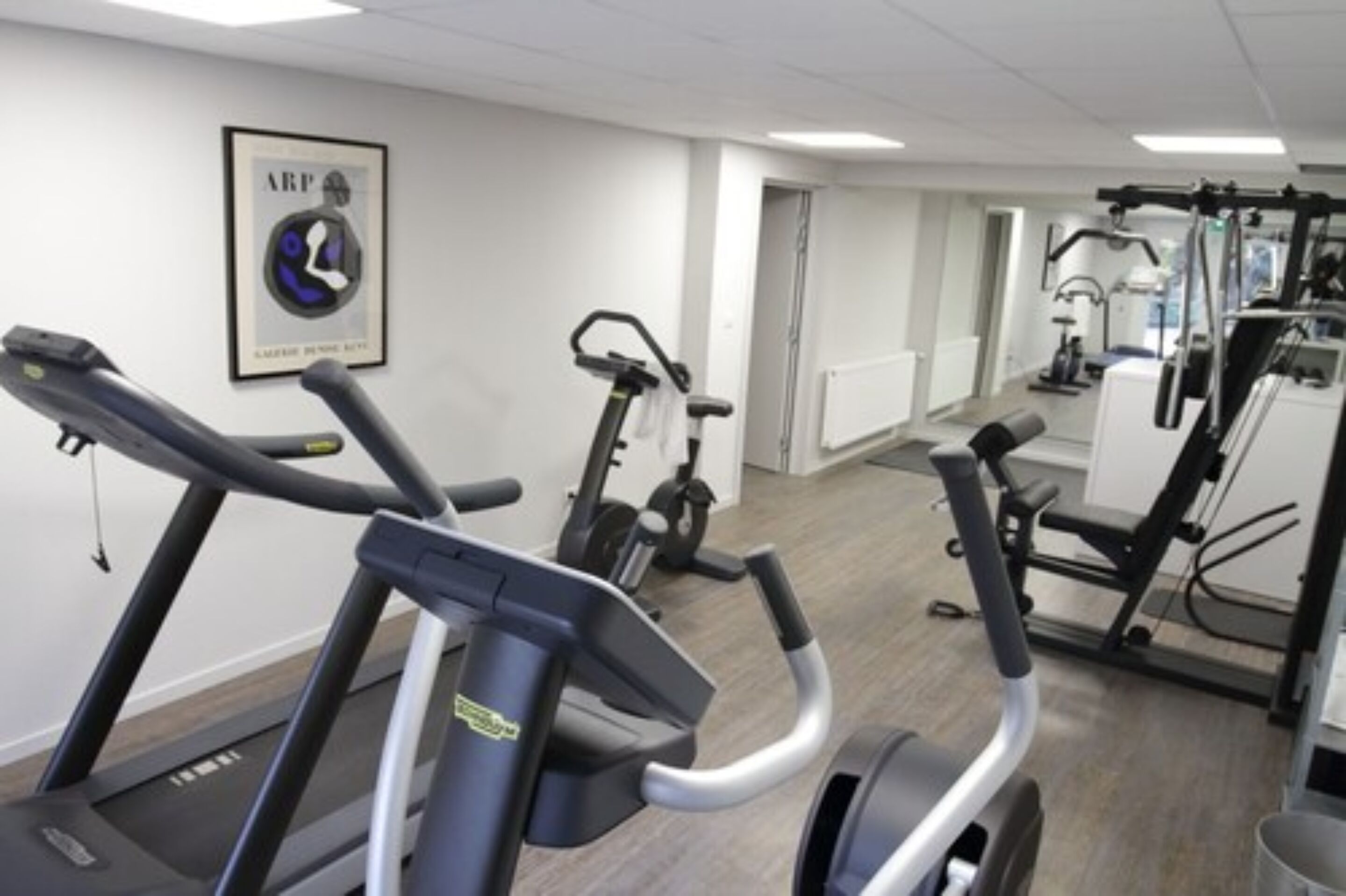 A gym with treadmills, stationary bikes, and weight machines.