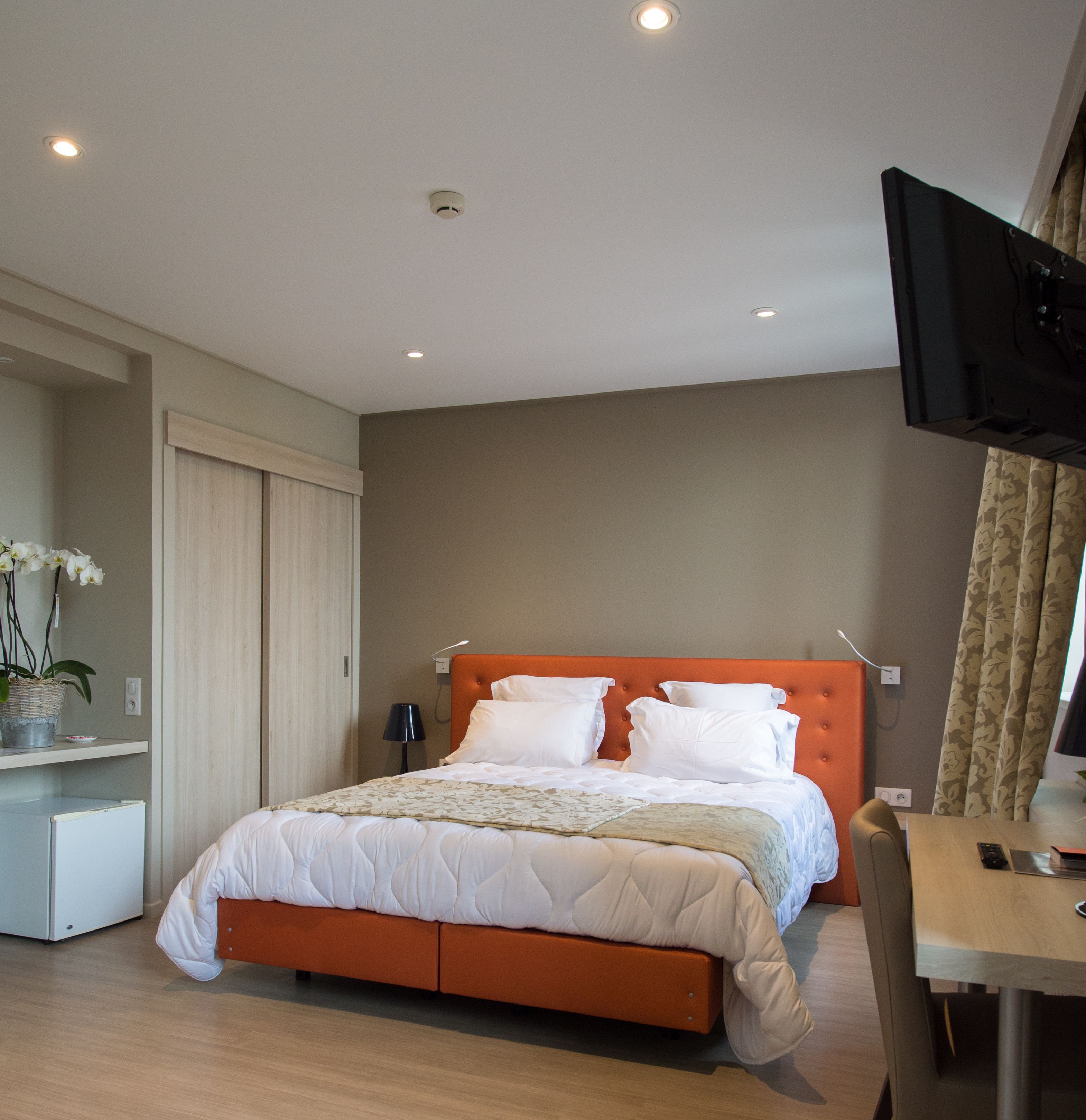 Une chambre d’hôtel avec un lit, un bureau, une télévision et une plante.