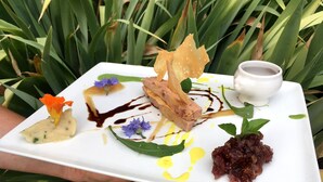 Alimentos y bebidas