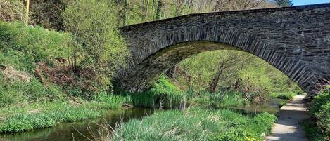 A stone bridge over a narrow stream, surrounded by lush greenery and trees.